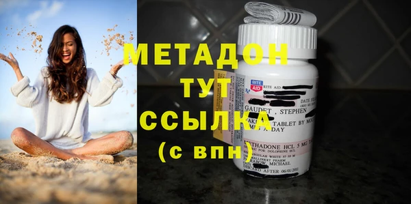 PSILOCYBIN Аркадак