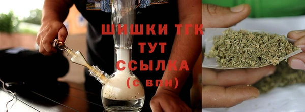 PSILOCYBIN Аркадак