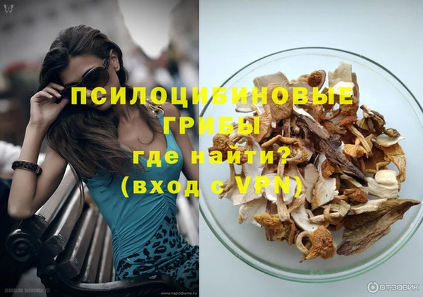 PSILOCYBIN Аркадак