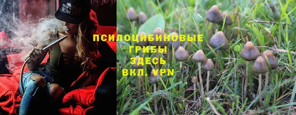 PSILOCYBIN Аркадак