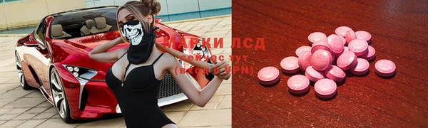 PSILOCYBIN Аркадак