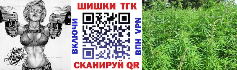 где купить наркотик Гай блэк спрут Каннабис планчик